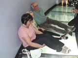 35 - CN Tower - IMGA0148